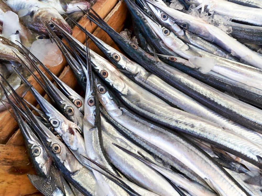 belony leżące na ladzie w sklepie belony leżące na ladzie w sklepie