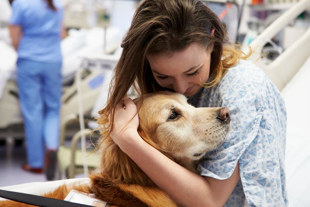 Dogoterapia – co to jest? Na czym polega terapia z psem? Dogoterapia – co to jest? Na czym polega terapia z psem?
