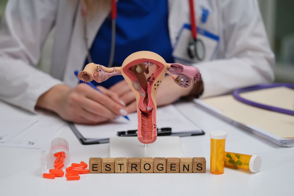 model macicy z napisem estrogeny i lekarzem w tle model macicy z napisem estrogeny i lekarzem w tle