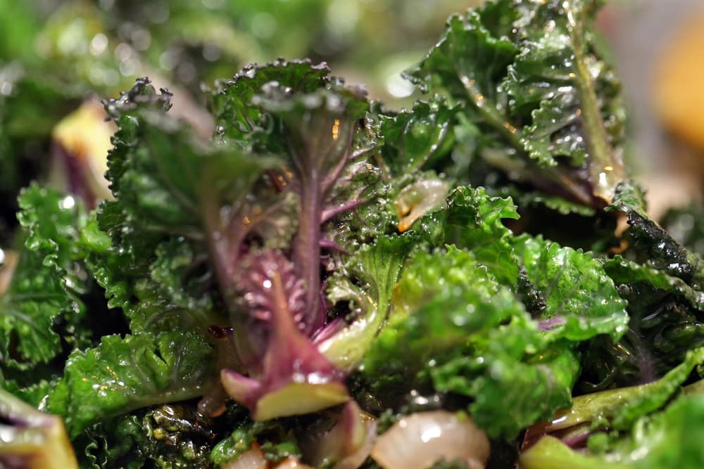 kalettes kalettes