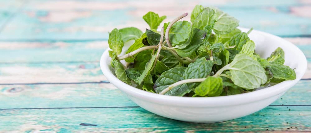 Mięta – działanie, zastosowanie. Na co pomaga? Skutki uboczne Mięta – działanie, zastosowanie. Na co pomaga? Skutki uboczne