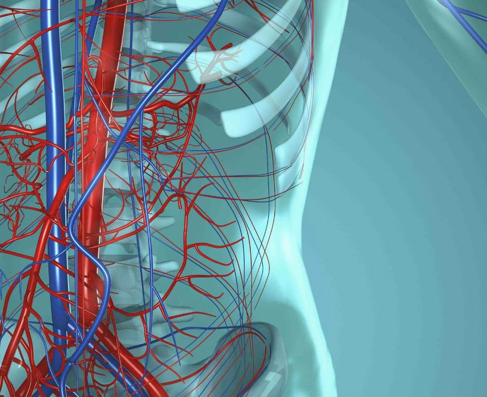 Ziarniniak Wegenera (ziarniniakowatość z zapaleniem naczyń) – objawy i leczenie Ziarniniak Wegenera (ziarniniakowatość z zapaleniem naczyń) – objawy i leczenie