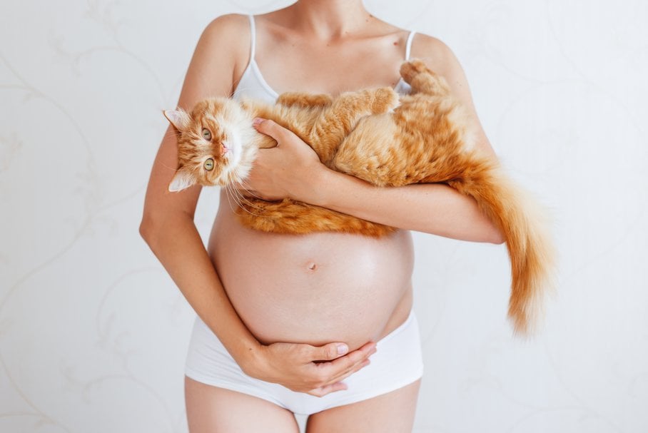 Toksoplazmoza w ciąży – przyczyny, objawy i leczenie zakażenia