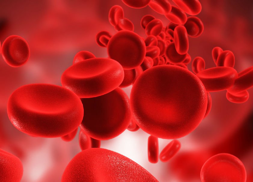 Dlaczego warto znać swoją grupę krwi?