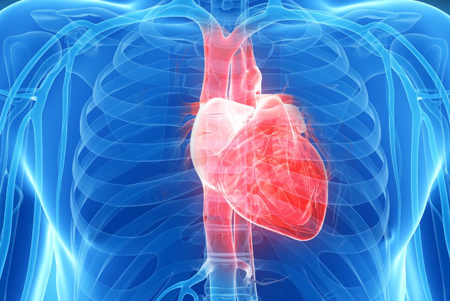 Serce płucne (przerost prawej komory) – objawy, przyczyny i leczenie
