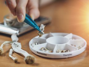 mikrodawkowanie psychodelików