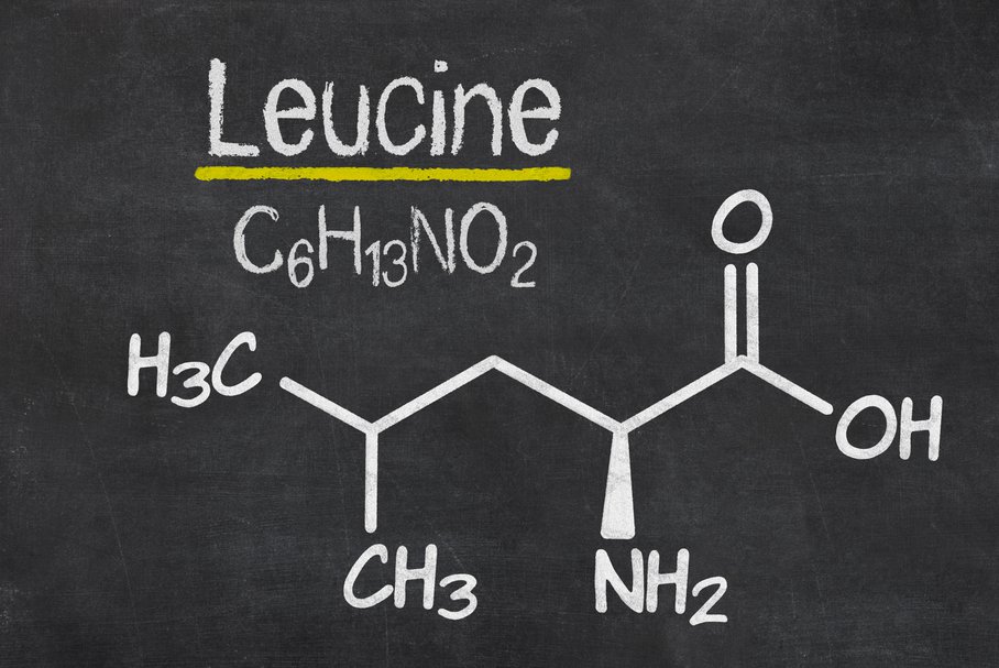 Leucyna - niezwykły aminokwas, nie tylko dla sportowców