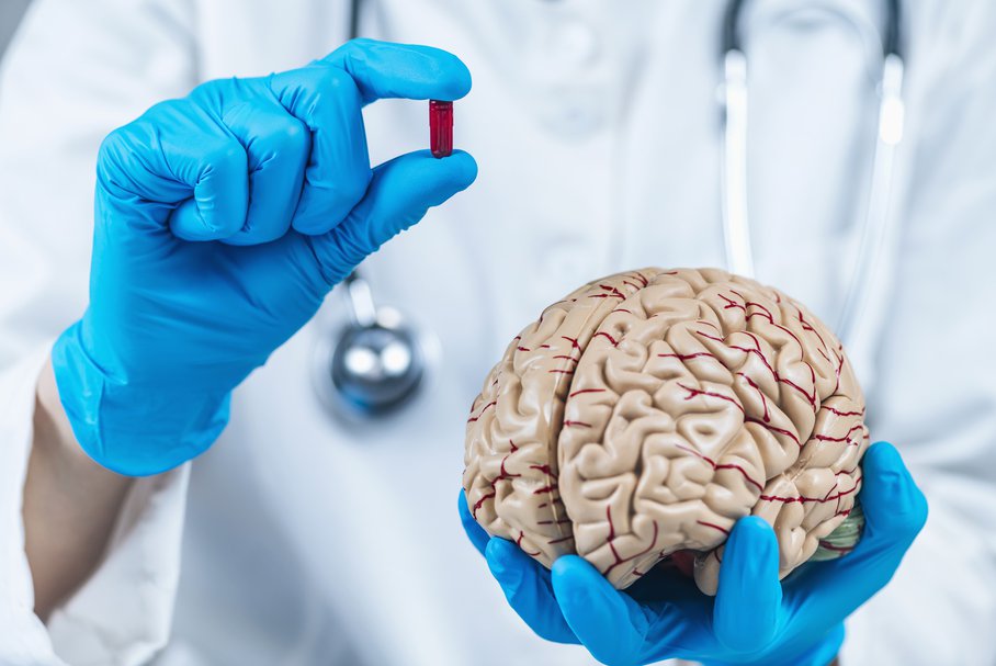 Lekarz pokazujący model mózgu i kapsułkę z psychobiotykiem.