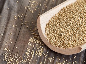 Czym jest dieta FODMAP? Produkty dozwolone w zespole jelita drażliwego