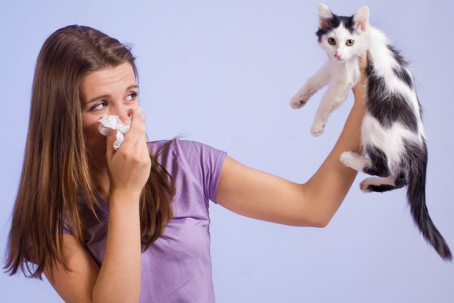 Zwierzęta a alergie