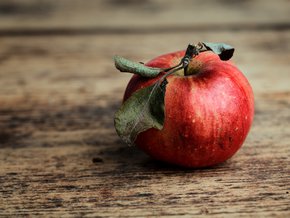Owocowo-warzywna dieta oczyszczająca organizm z toksyn