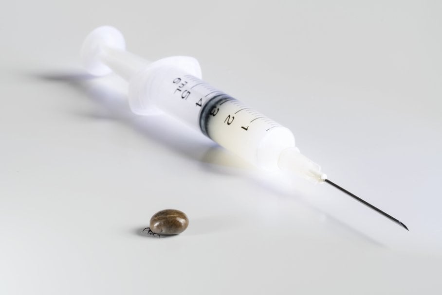 Szczepionka na boreliozę – kiedy można się jej spodziewać?