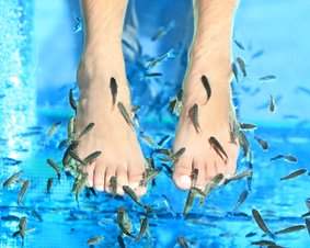 Zabieg fish pedicure.