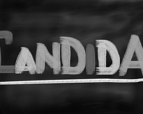 Candida albicans