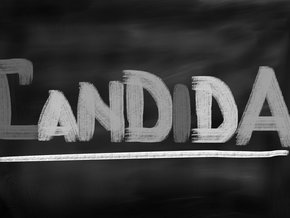 Candida albicans