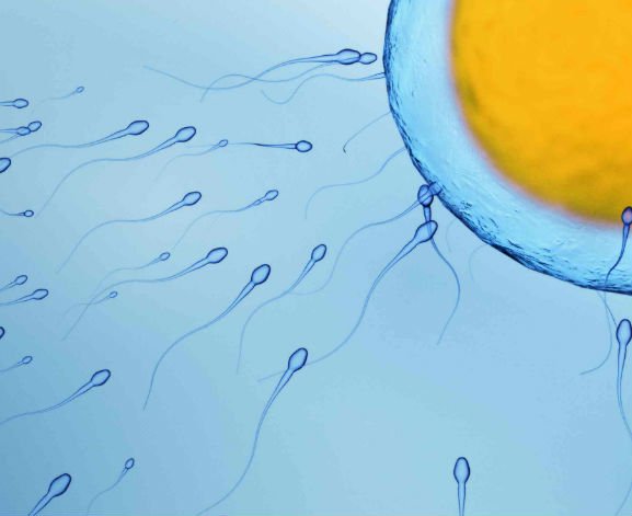 Implant antykoncepcyjny – skuteczność, skutki uboczne
