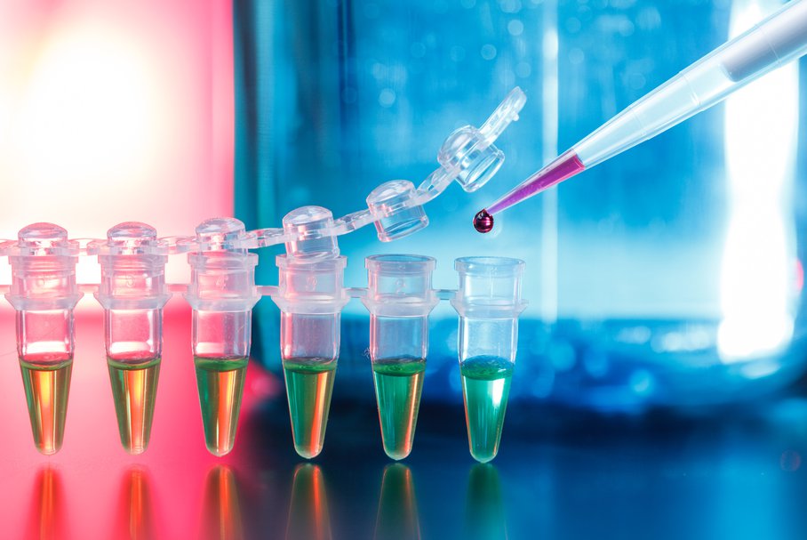 PCR – badanie na wykrywanie boreliozy i infekcji