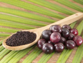 jagody acai na liściu palmy