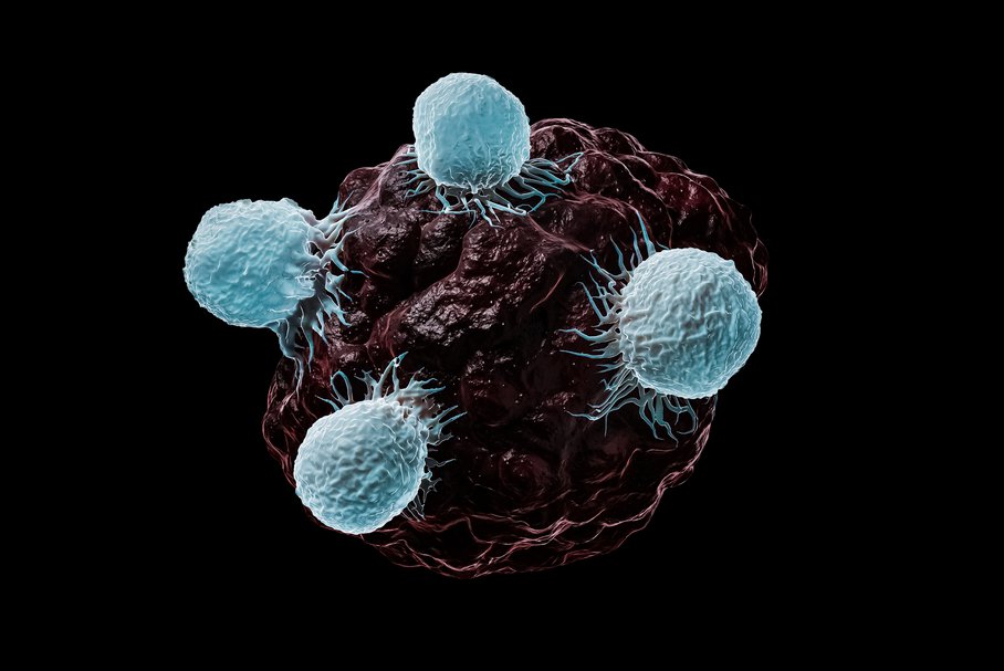 Komórki NK – jakie funkcje pełnią komórki natural killers?
