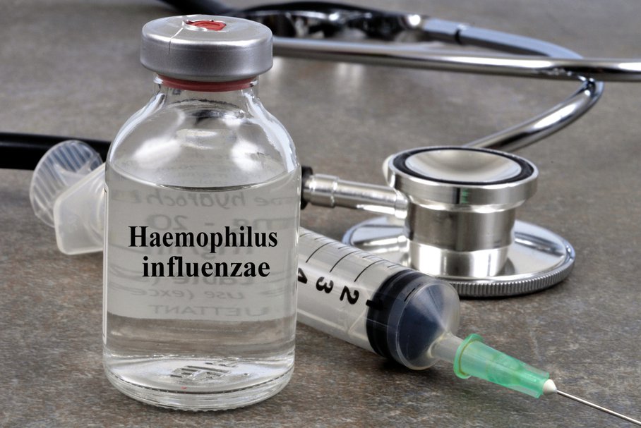 Haemophilus influenzae (HiB) – objawy, leczenie, antybiotyk, szczepionka