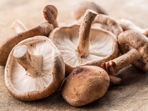 Grzyby shiitake.