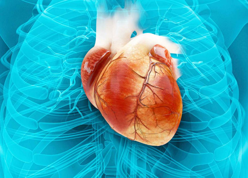 Hipoplazja lewego serca