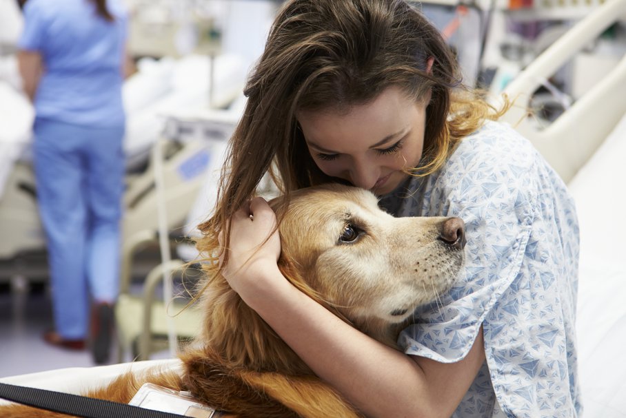 Dogoterapia – co to jest? Na czym polega terapia z psem?