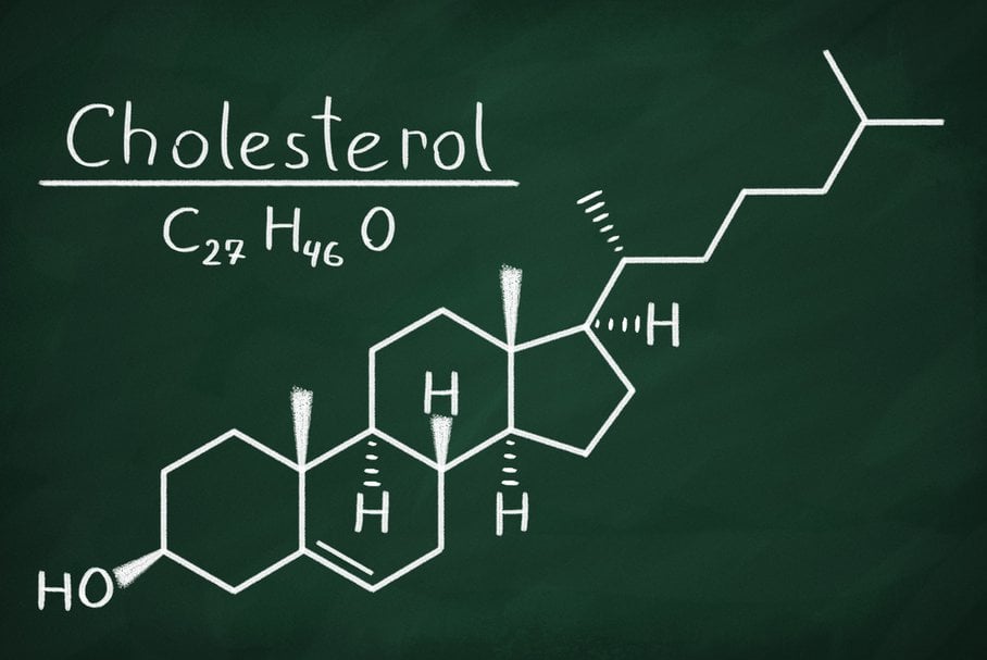 Cholesterol całkowity – normy, podwyższony, niski wynik w badaniu krwi