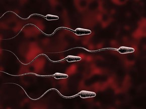 Krew w spermie (hematospermia) – przyczyny krwi w nasieniu