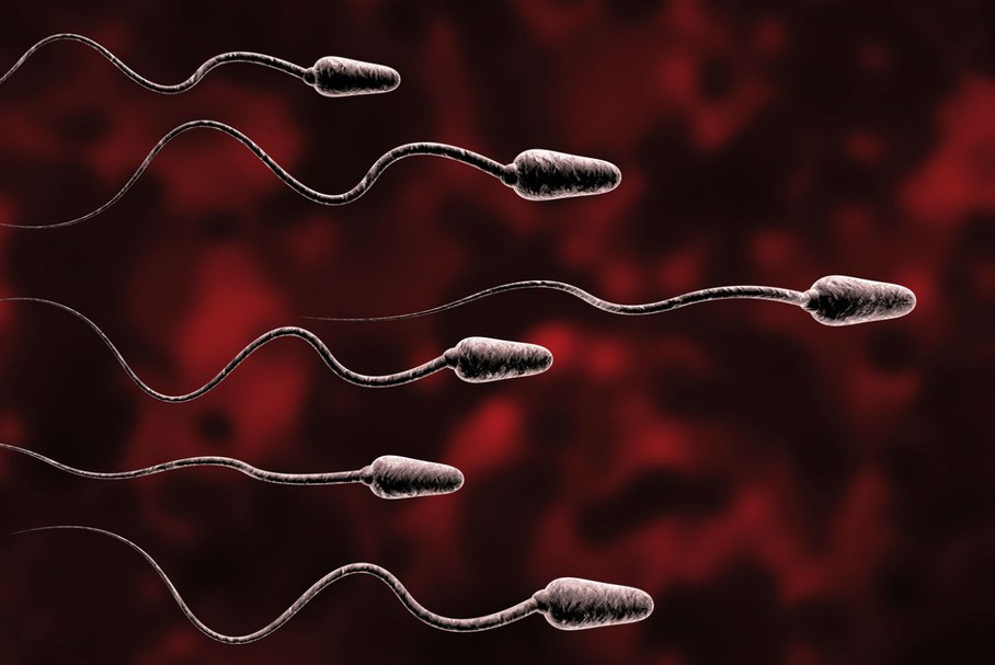 Krew w spermie (hematospermia) – przyczyny krwi w nasieniu