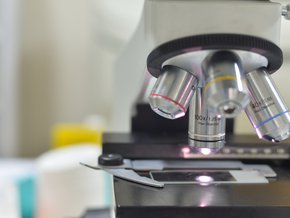 Diagnostyka chorób mięśni pod kątem schorzeń i pasożytów