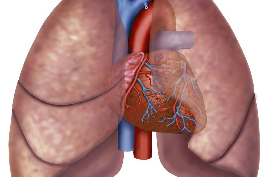 Choroby płuc – rodzaje, objawy, diagnoza, leczenie