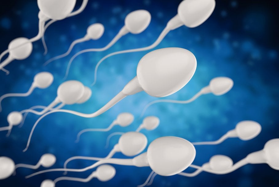 Spermatogeneza – na czym polega ten proces, co go zaburza?