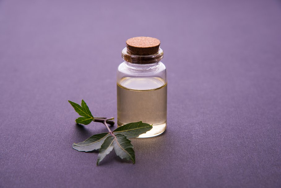 Olej neem – właściwości, zastosowanie, gdzie kupić?