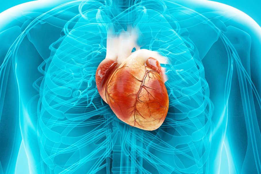 Nowotwory serca – jakie są objawy raka serca?