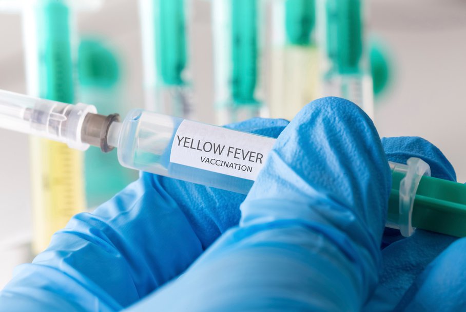 Szczepionka na wirusa żółtej febry.