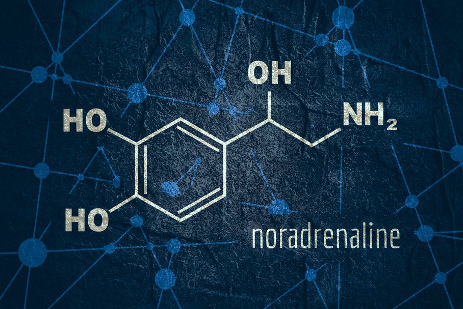 Czym jest noradrenalina?