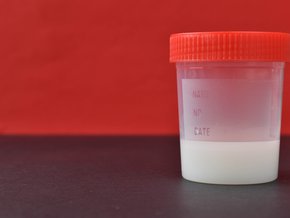 Plastikowy pojemnik wypełniony nasieniem.