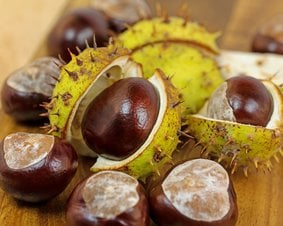 Jak leczyć hemoroidy naturalnymi sposobami?