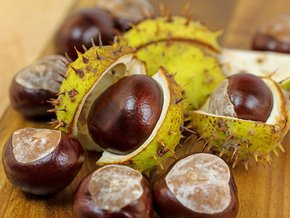 Jak leczyć hemoroidy naturalnymi sposobami?