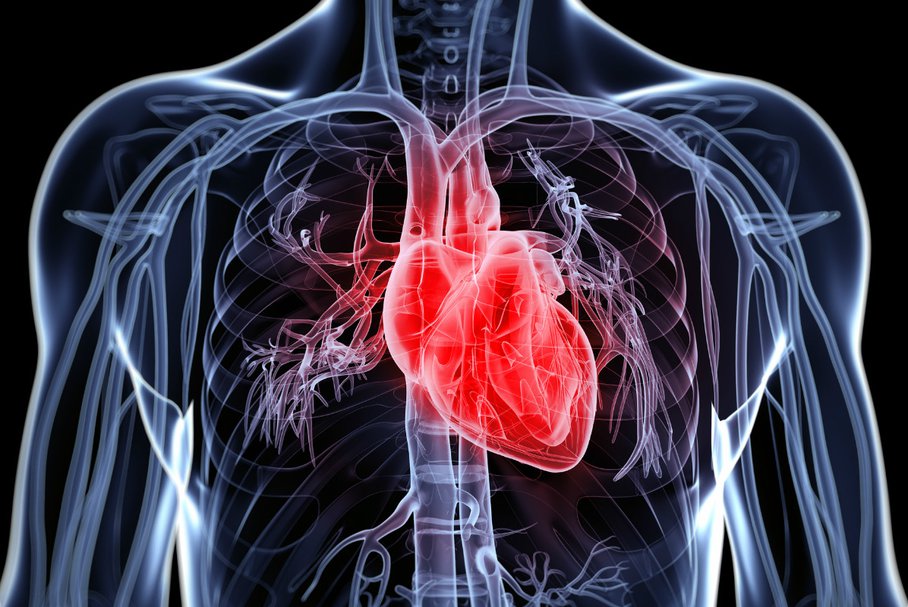 Mechaniczna a biologiczna zastawka serca