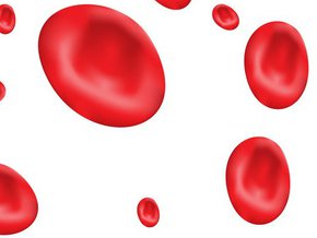 Średnie stężenie hemoglobiny w erytrocycie (MCHC)