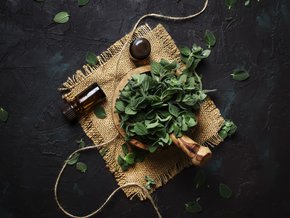 zastosowanie olejku z oregano
