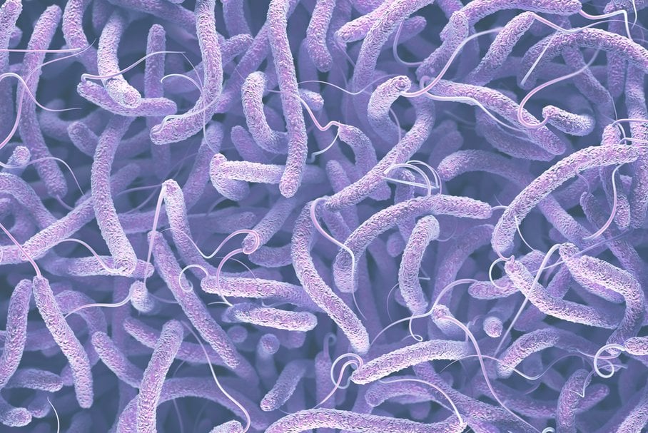 Bakterie cholery.