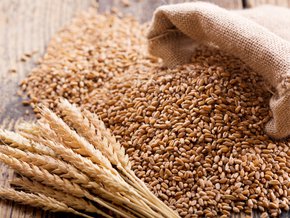 Dieta bez pszenicy to także dieta bezglutenowa